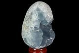 Crystal Filled Celestine (Celestite) Egg Geode - Madagascar #98800-2